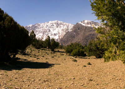 08. TOUBKAL Y DESIERTO