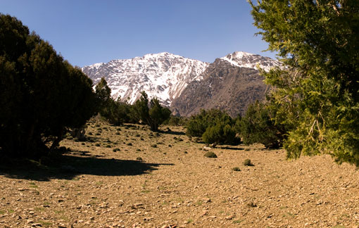 08. TOUBKAL Y DESIERTO