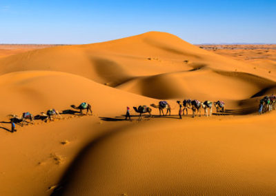 19. DESIERTO DESDE MARRAKECH